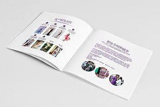 深圳市顶点企业形象策划 安娜品牌形象色彩与画册设计解析